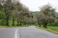 Road from SuÃÂany to TurÃÂianska Stiavnicka in springtime, Slovakia